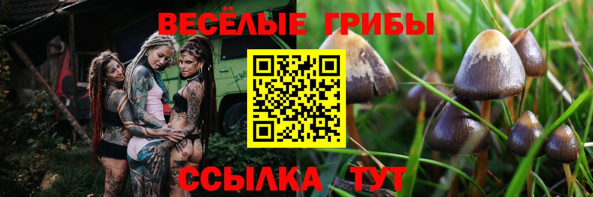 Галлюциногенные грибы GOLDEN TEACHER Волжск