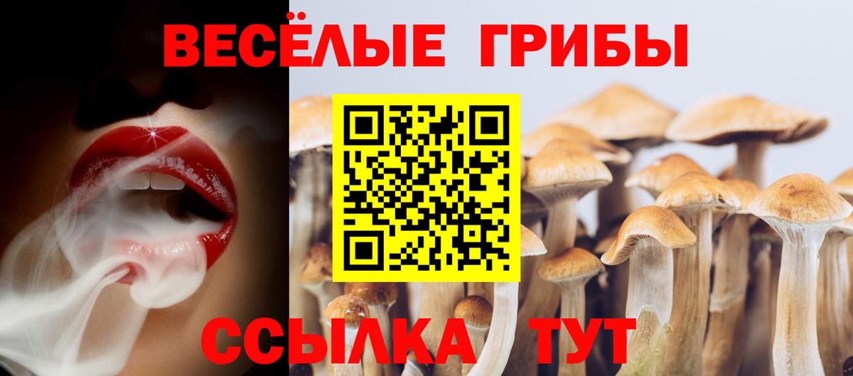 Псилоцибиновые грибы мицелий  Вход с VPN  Волжск 